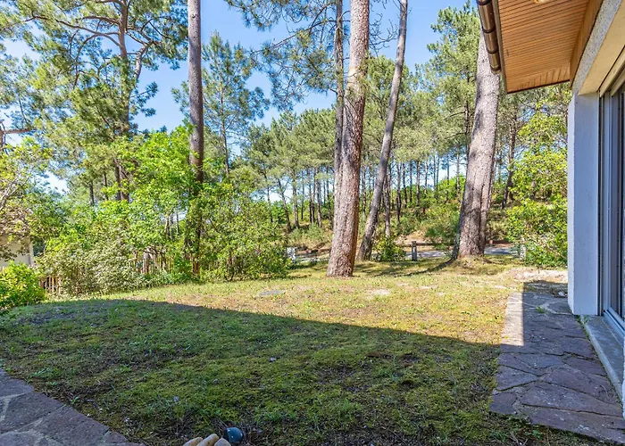 Sous Les Pins Pres Du *