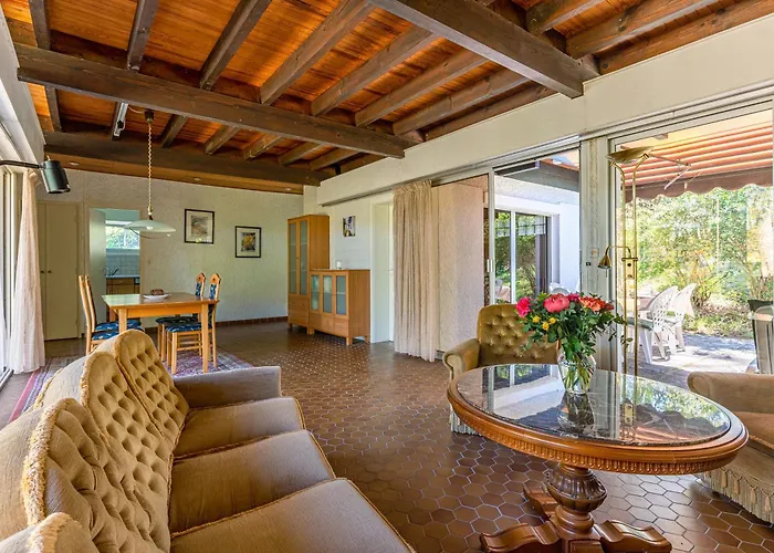 Sous Les Pins Pres Du