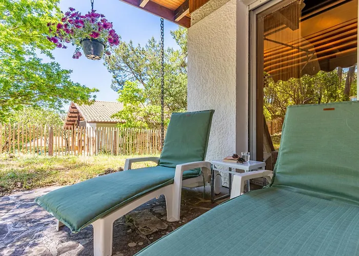 Sous Les Pins Pres Du *