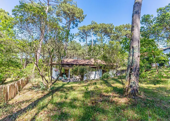 Sous Les Pins Pres Du Biscarrosse