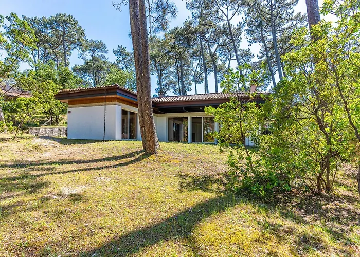 Σπίτι διακοπών Sous Les Pins Pres Du *