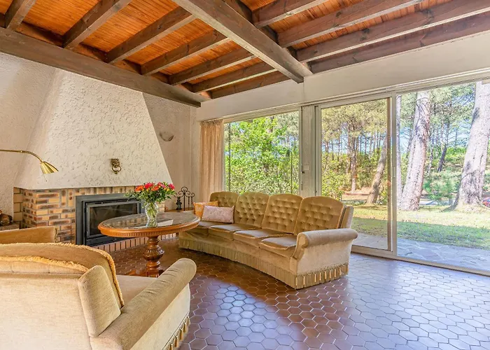 Sous Les Pins Pres Du *